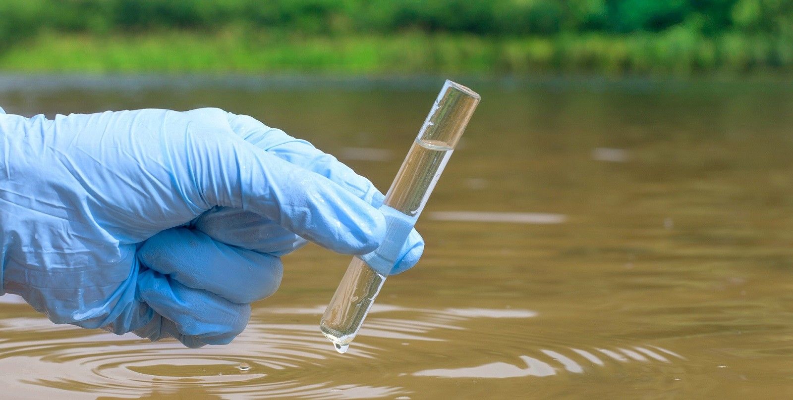 Environmental monitoring of water